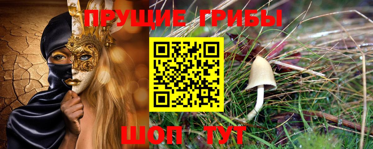 Галлюциногенные грибы мицелий  Вход с VPN  Галлюциногенные грибы Psilocybine cubensis  Лесной 