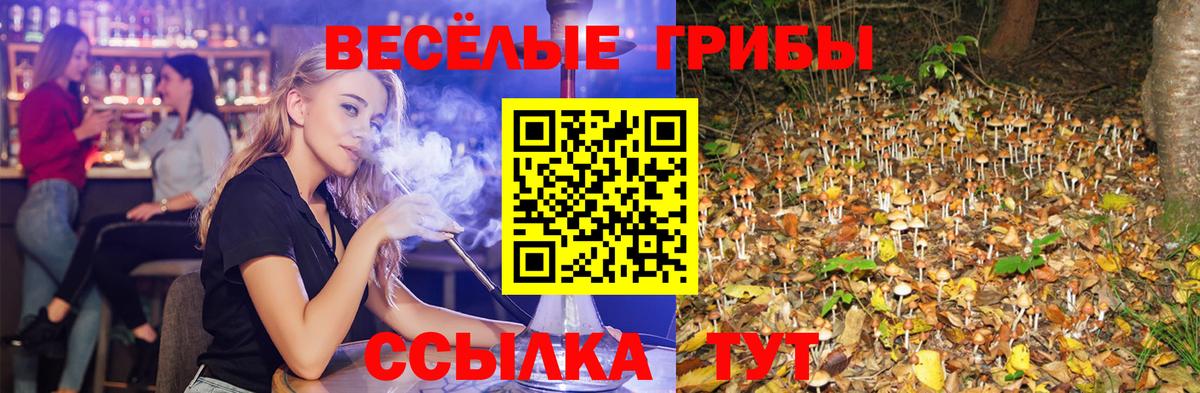 Псилоцибиновые грибы ЛСД Лесной